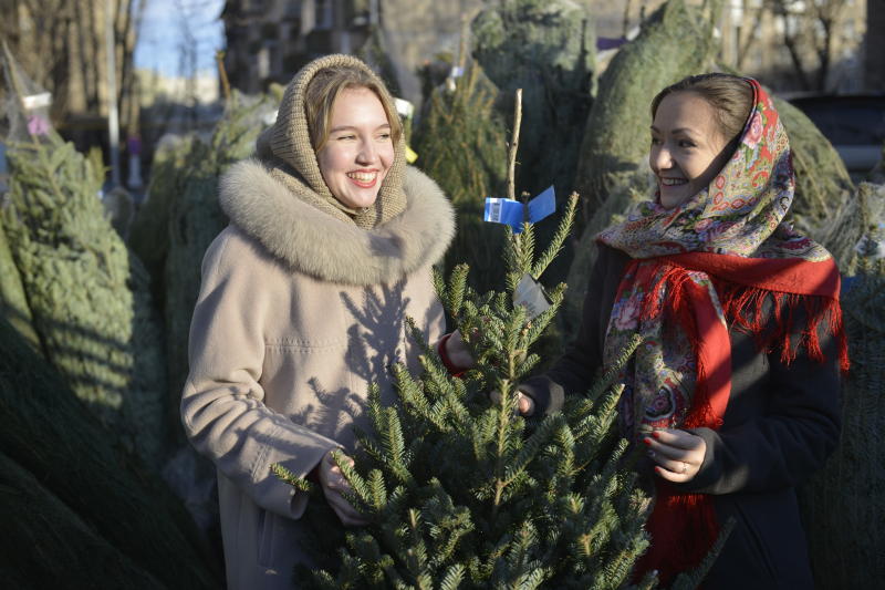 Более 370 пунктов приема елок на утилизацию открыли в Москве. Фото: архив
